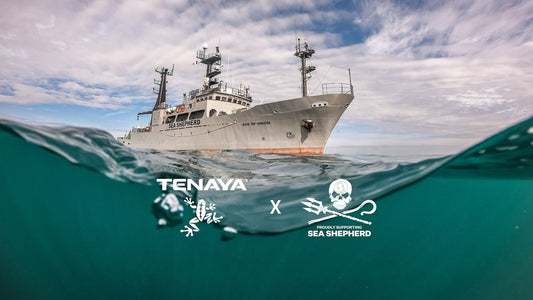 Climb for the Ocean Project